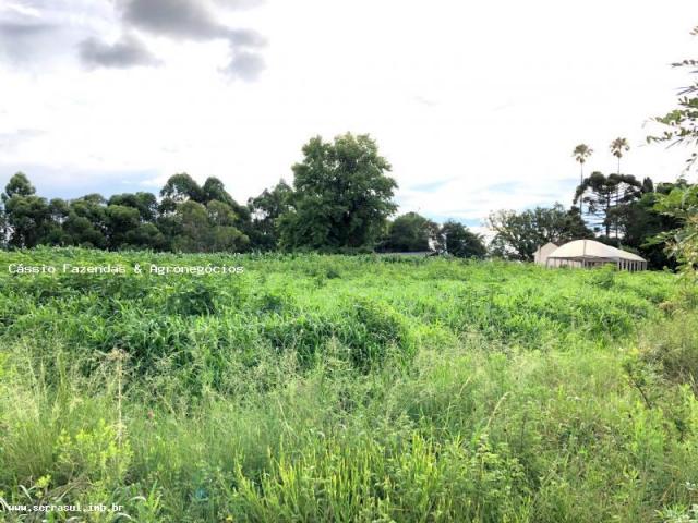 Fazenda para venda em encruzilhada do sul, interior - Foto 3
