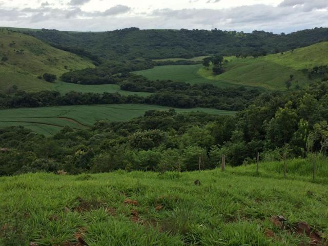 Fazenda rural à venda em Roncador - PR - 52 alqueires. - Foto 14