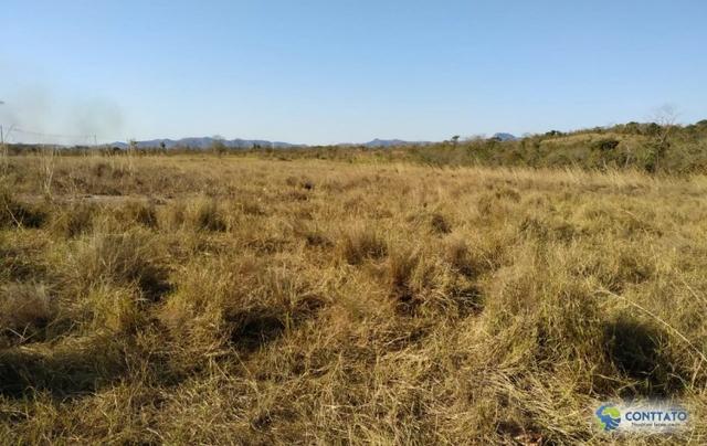 Fazenda 92 Ha toda formada e divisao de pasto - Foto 4