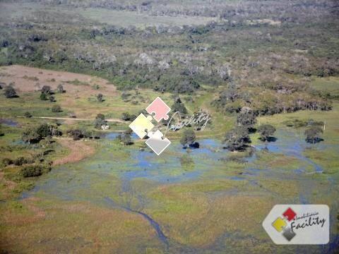 Fazenda rural à venda, zona rural, poconé - . - Foto 4
