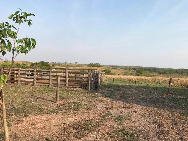 Fazenda 300,hectares - Foto 3