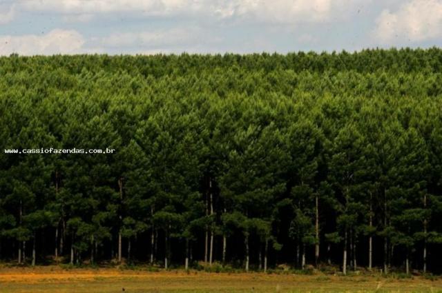 Fazenda para venda, interior