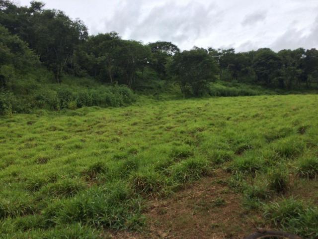 Fazenda rural à venda em Roncador - PR - 52 alqueires. - Foto 7