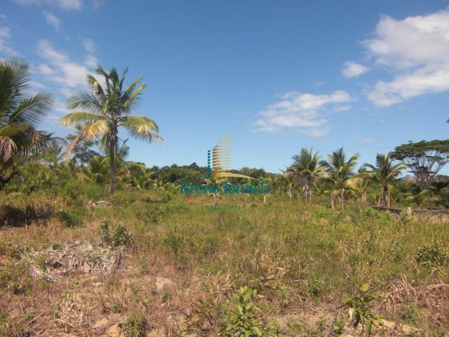 Área à venda, 900000 m² por r$ 3.000.000 - 7km do centro de porto seguro - porto seguro/ba - Foto 11