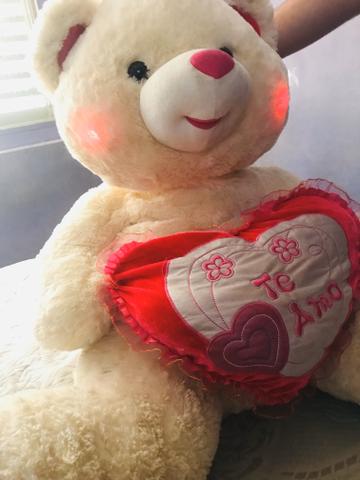 Urso - Foto 2