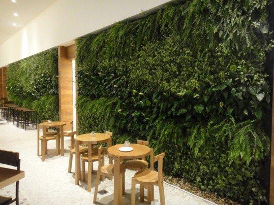 Paisagismo e manutenção - Foto 5