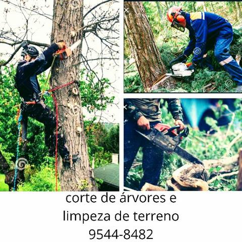150 corte de árvores *