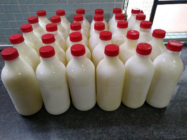 Leite de cabra direto do produtos - Foto 4