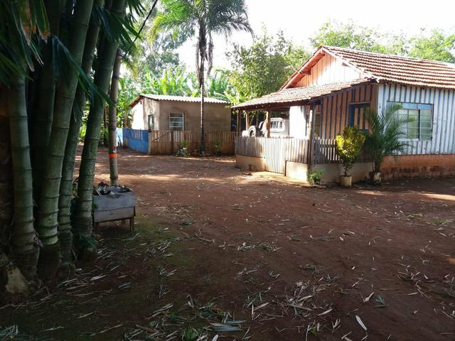 Vendo chácara de 7 hectares com 2 casas 1 cozinha caipira com fogão de lenha - Foto 20