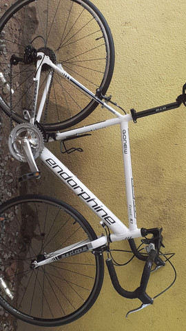 bike speed endorphine