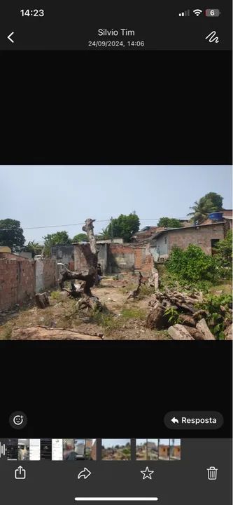 foto - Manaus - Zumbi dos Palmares