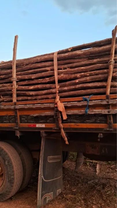 Madeira para construção de cercas - Foto 5