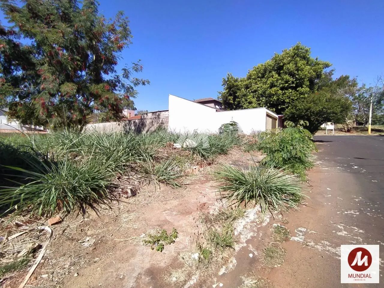 Terreno (terreno normal) - Foto 3