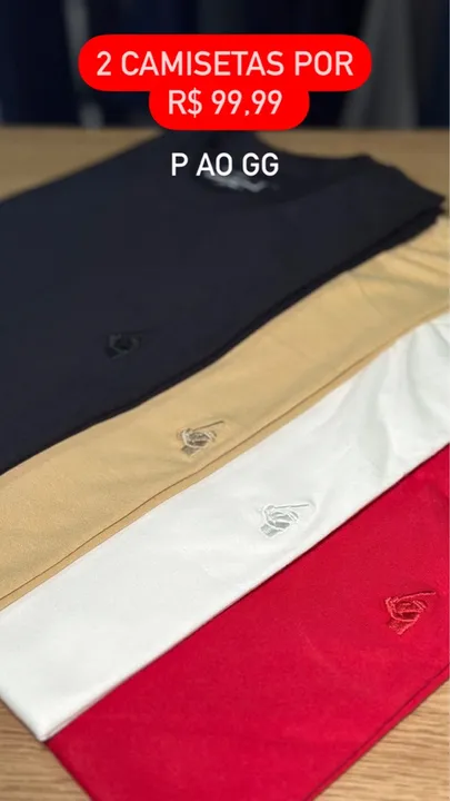 CAMISETAS MASCULINAS 2 POR 100