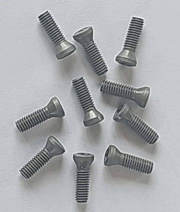 Parafusos para Pastilhas de Metal Duro