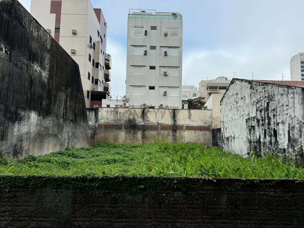 Terreno à venda em Caiobá ARYA1 - Foto 4