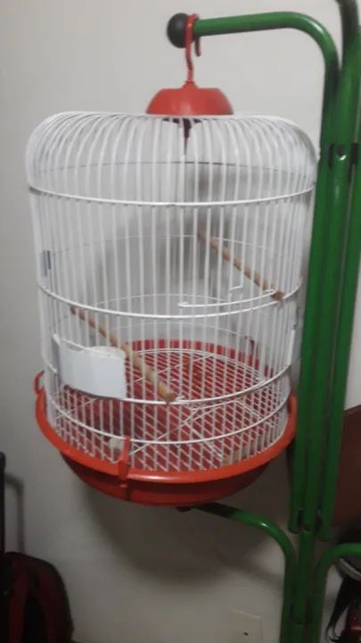 Gaiola calopsita redonda