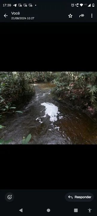 Sítio com natureza exuberante - Foto 4