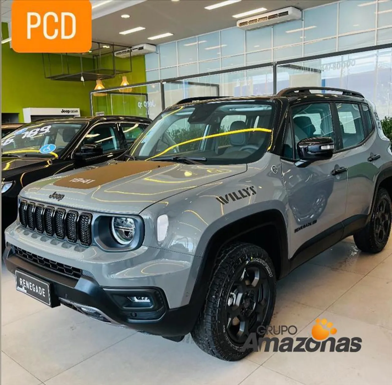 JEEP RENEGADE 1.3 T270 TURBO FLEX WILLYS 4X4 AT9