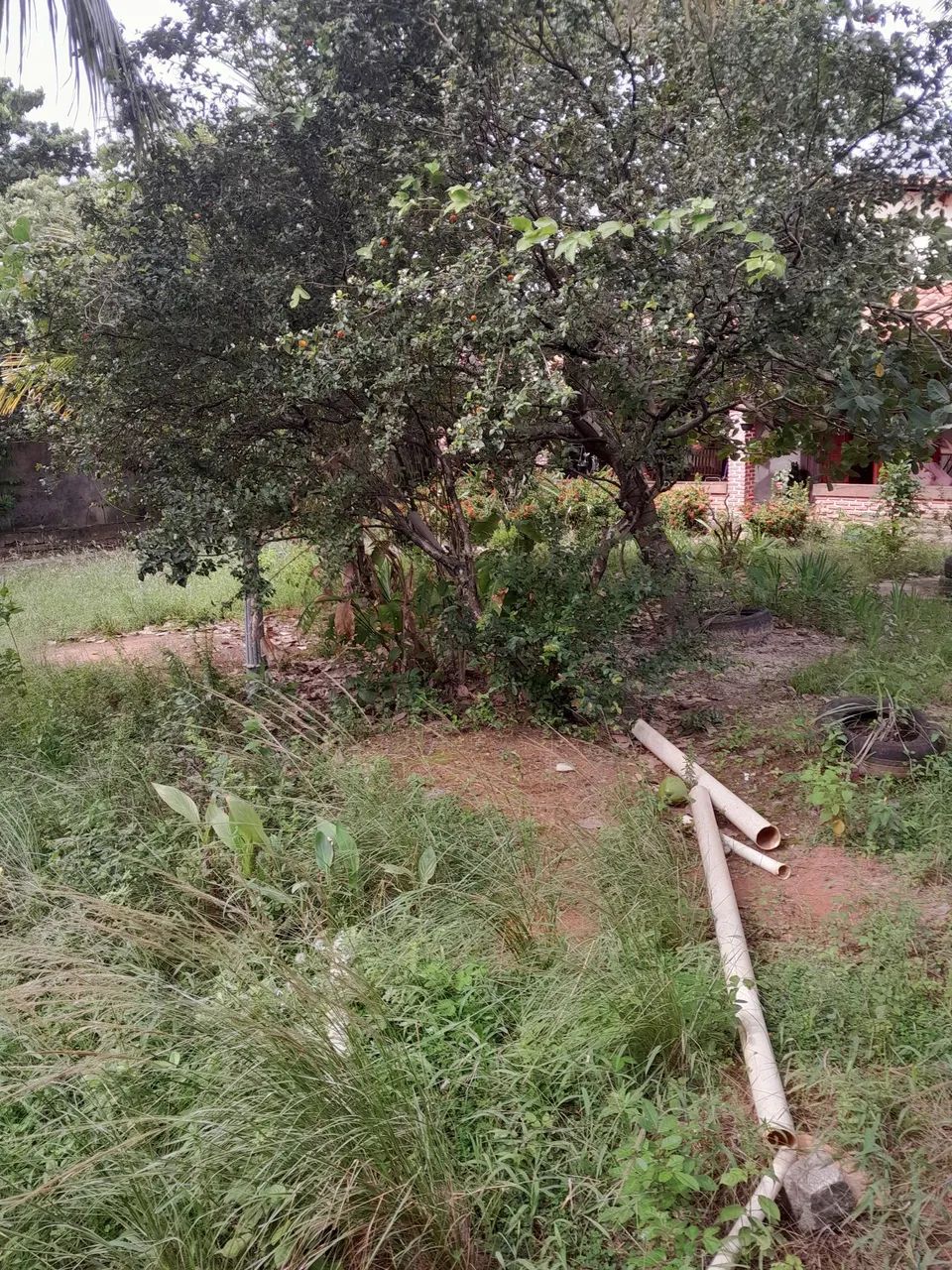 Chacara em Lauro  de Freitas 800m2 - Foto 4