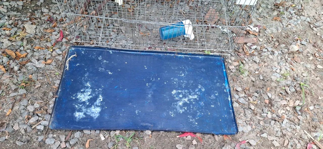 Vendo gaiola de ferro - Foto 3