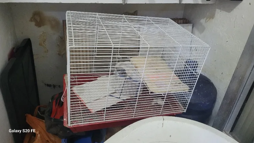 Gaiola hamster