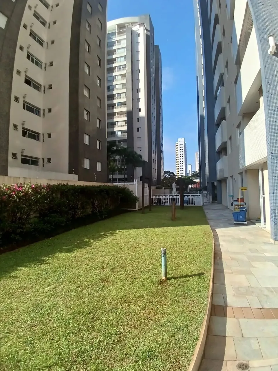 Apartamento para locação com 2 quartos em Vila Gomes Cardim - São Paulo - SP