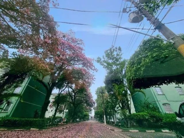 Foto - São Paulo - Itaim Paulista