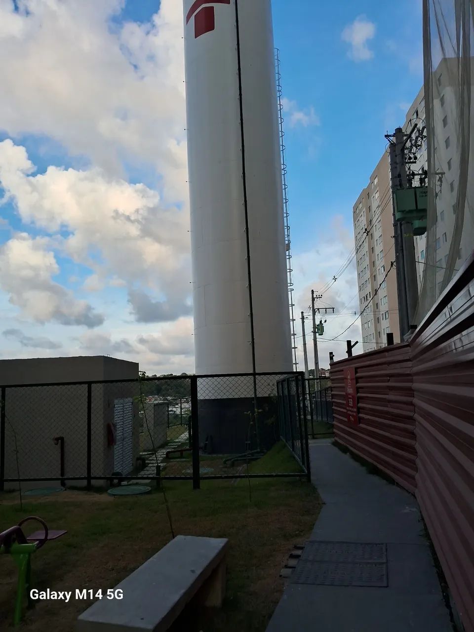Foto - Recife - Passarinho