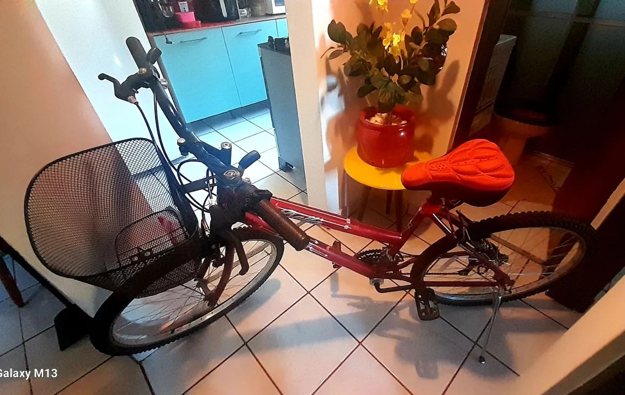 BICICLETA FEMENINA