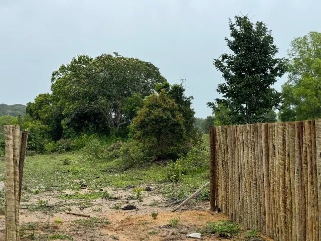 Vendo lindo sitio na praia de Cumuruxatiba ! - Foto 11