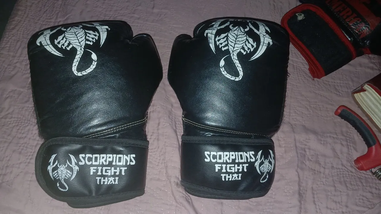 Vendo duas luvas de boxe uma pouca usada e outra mt usada