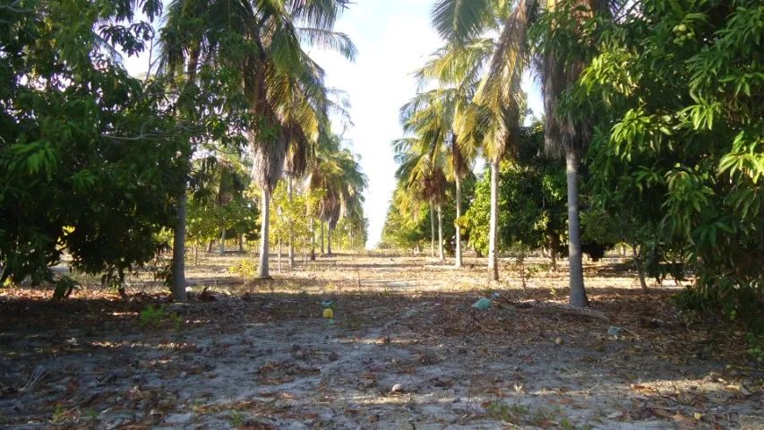 foto - Fortaleza - Aldeota
