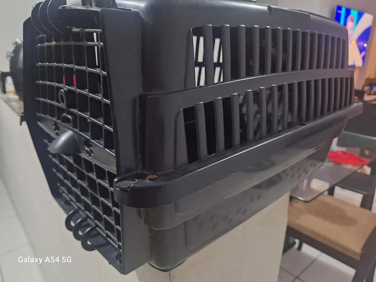 Transportadora para cães