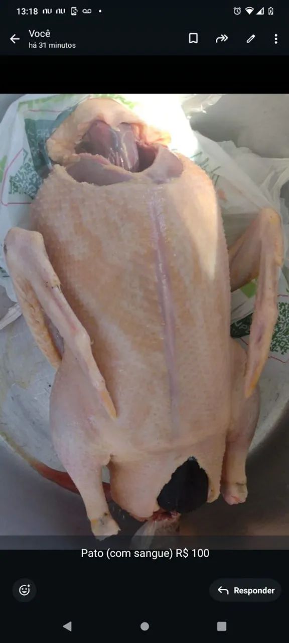 Pato com Sangue - 