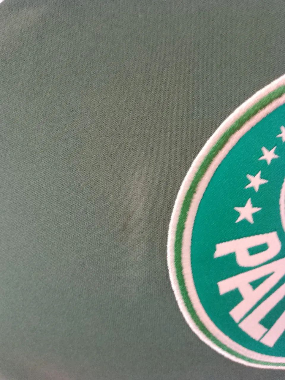 Camisa do Palmeiras OBSESSÃO GG - Foto 6