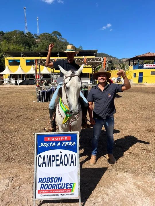 Cavalo de pista a venda  - Foto 2