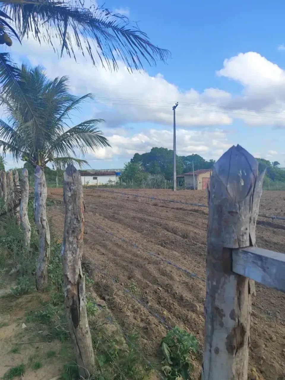 Granja com 3.6 hectares na região de Monte Alegre - Foto 3