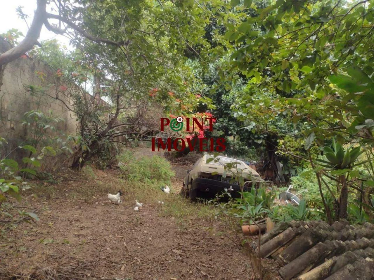 Lote / Terreno - Bairro Palmeiras - Foto 5