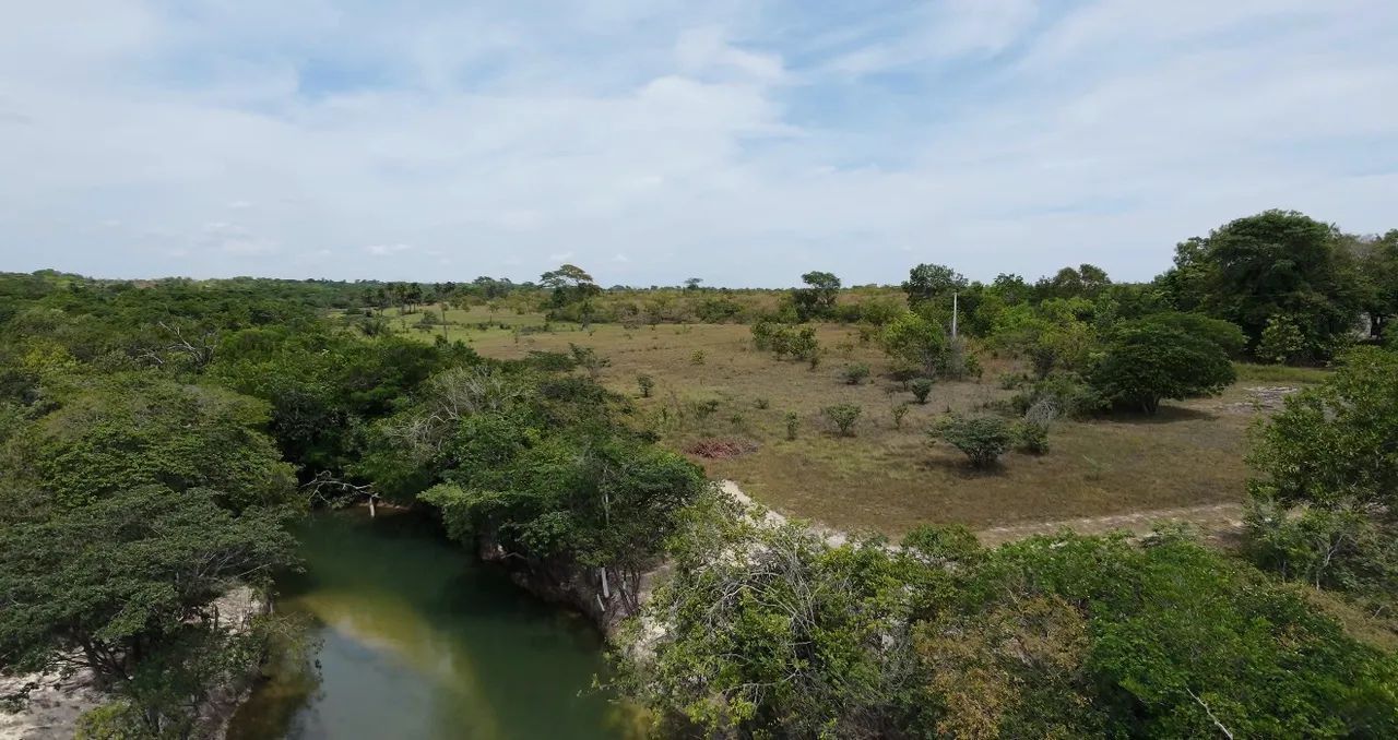Vendo Área pra Chácara ou sítio  - Foto 4