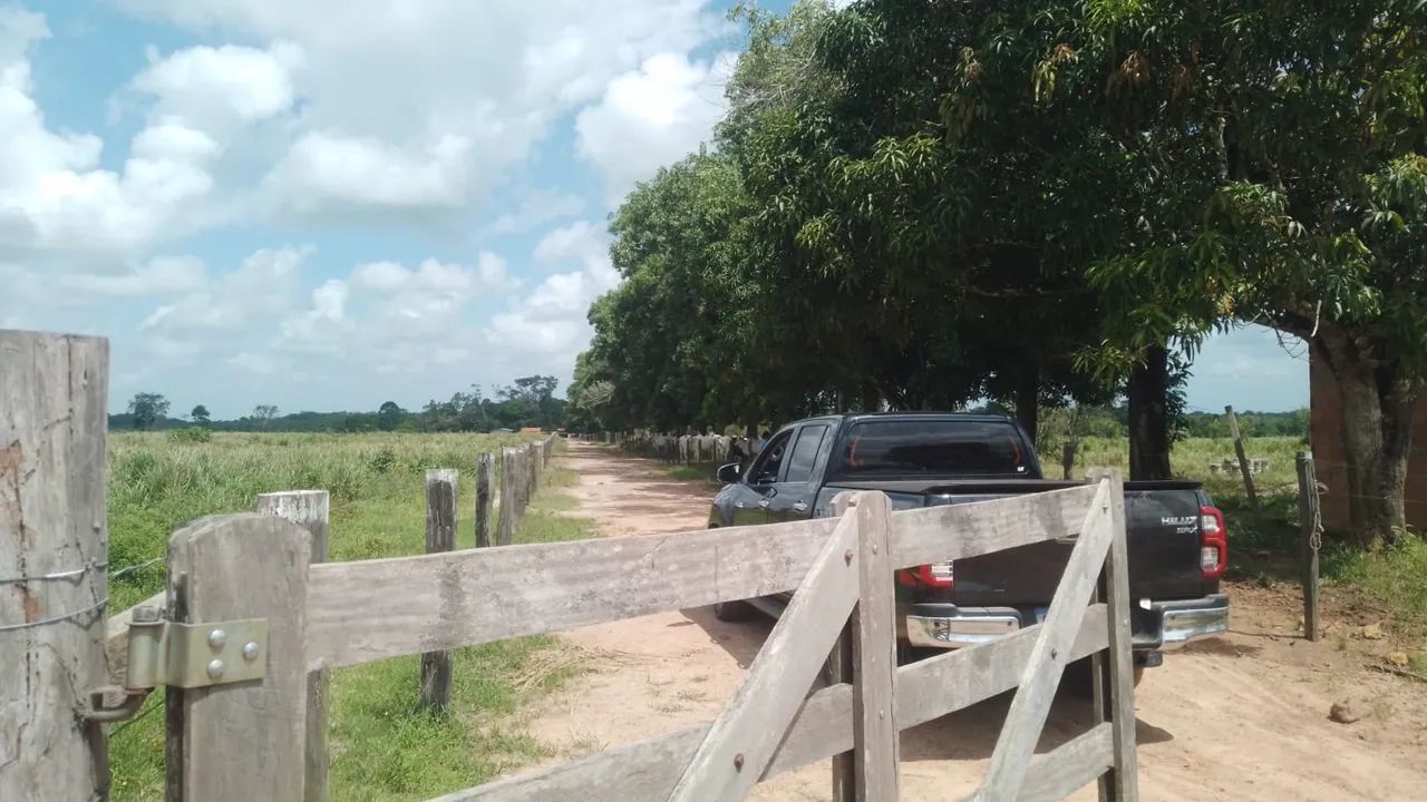 Fazenda em Santa Maria  - Foto 2