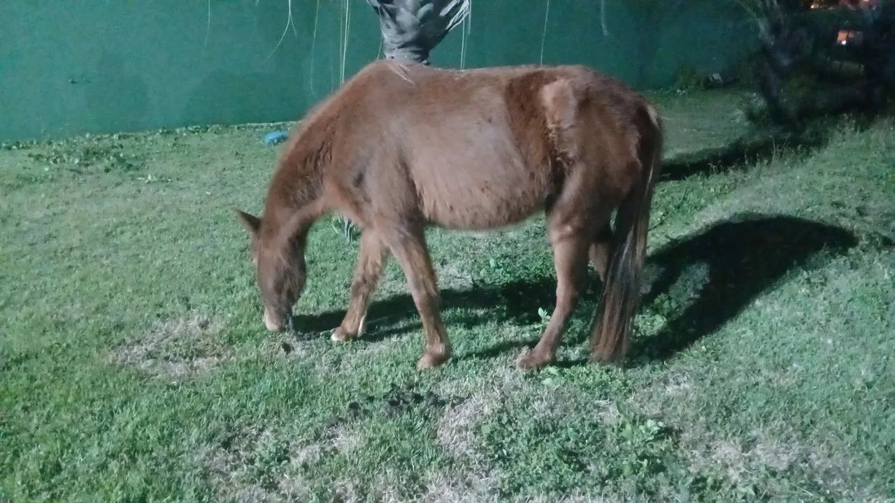 Vendo ou troco por outro - Foto 2