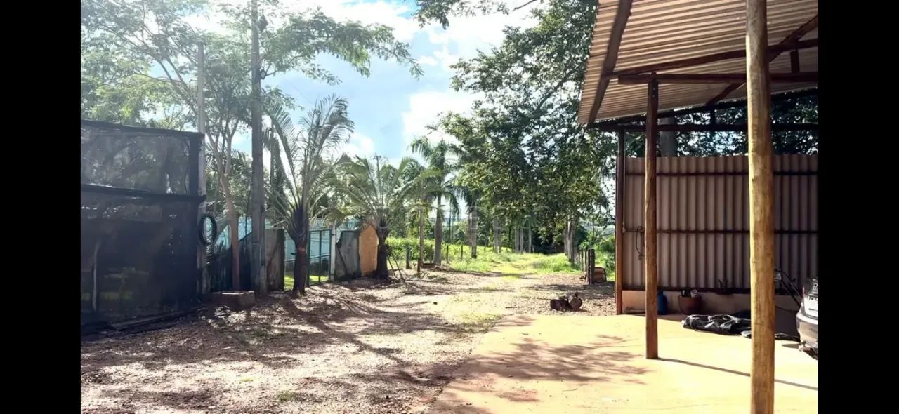 Rural Sítio em Nova Aliança - Foto 4