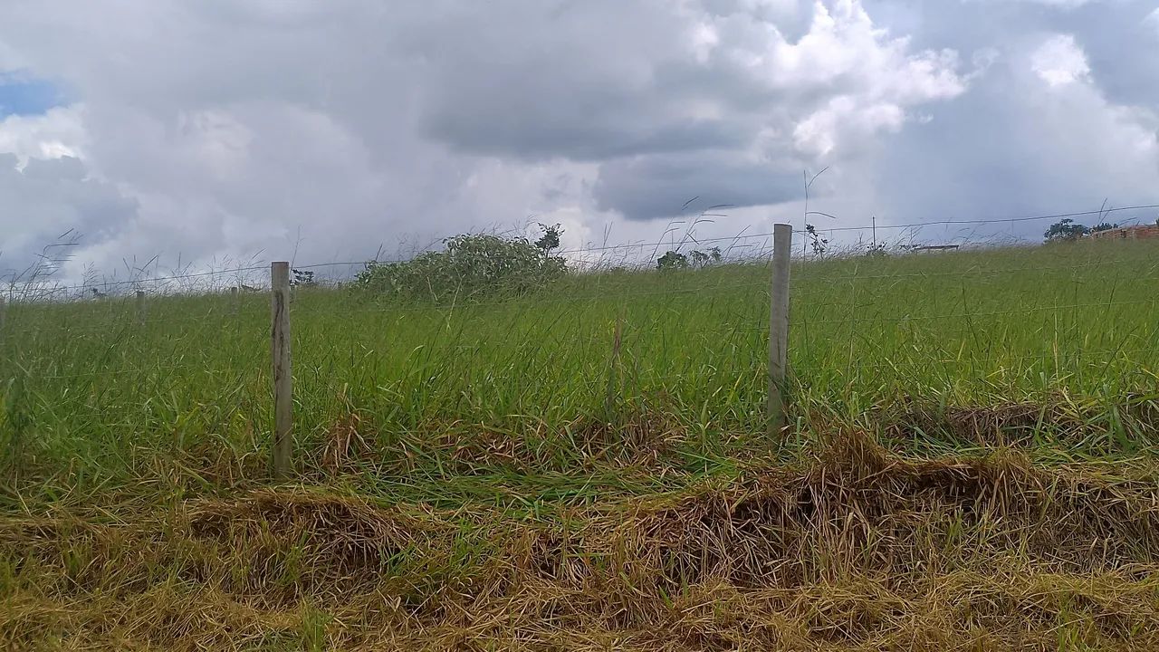 Foto - Uberlândia - Área Rural de Uberlândia