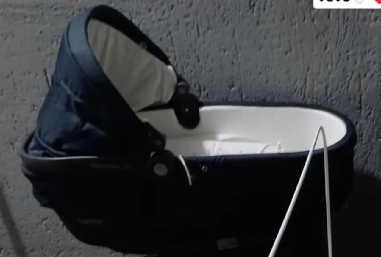 Moisés para bebe