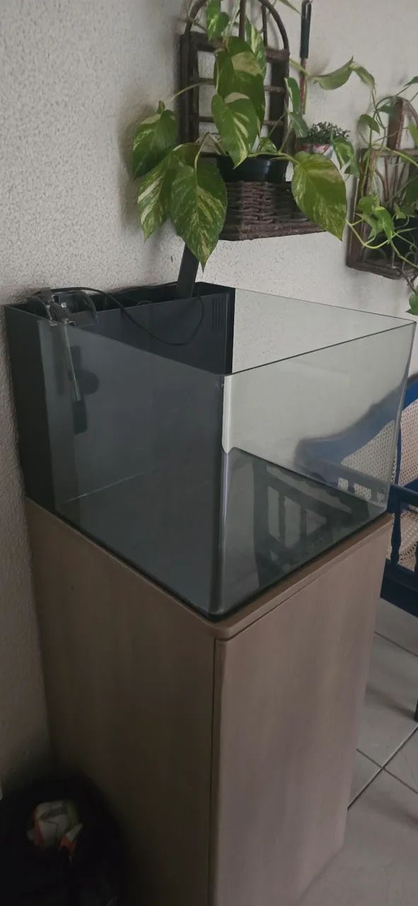 Aquario 45x40x35 - Foto 2