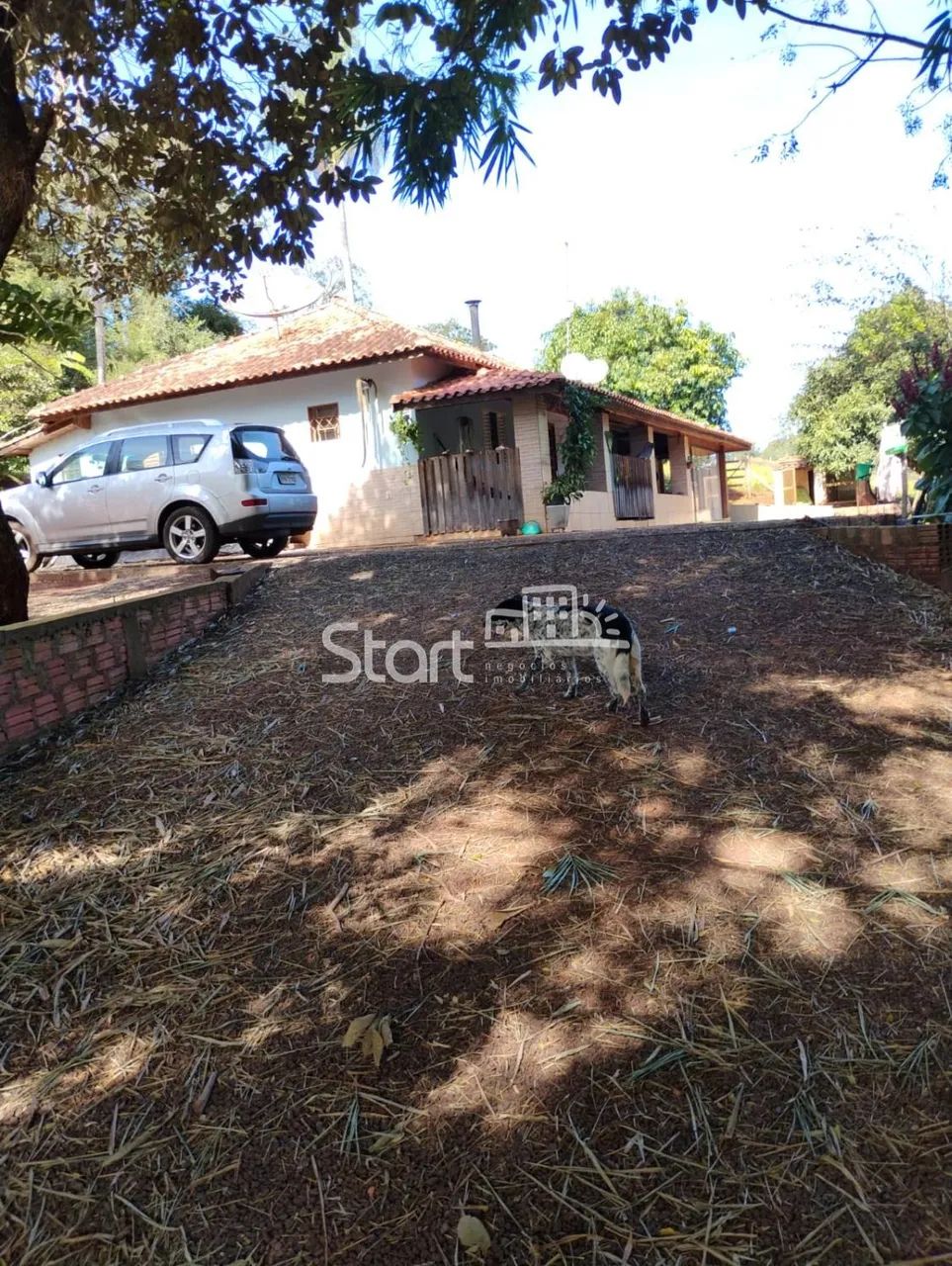 sítio - Auto da Serra - São Pedro - Foto 4