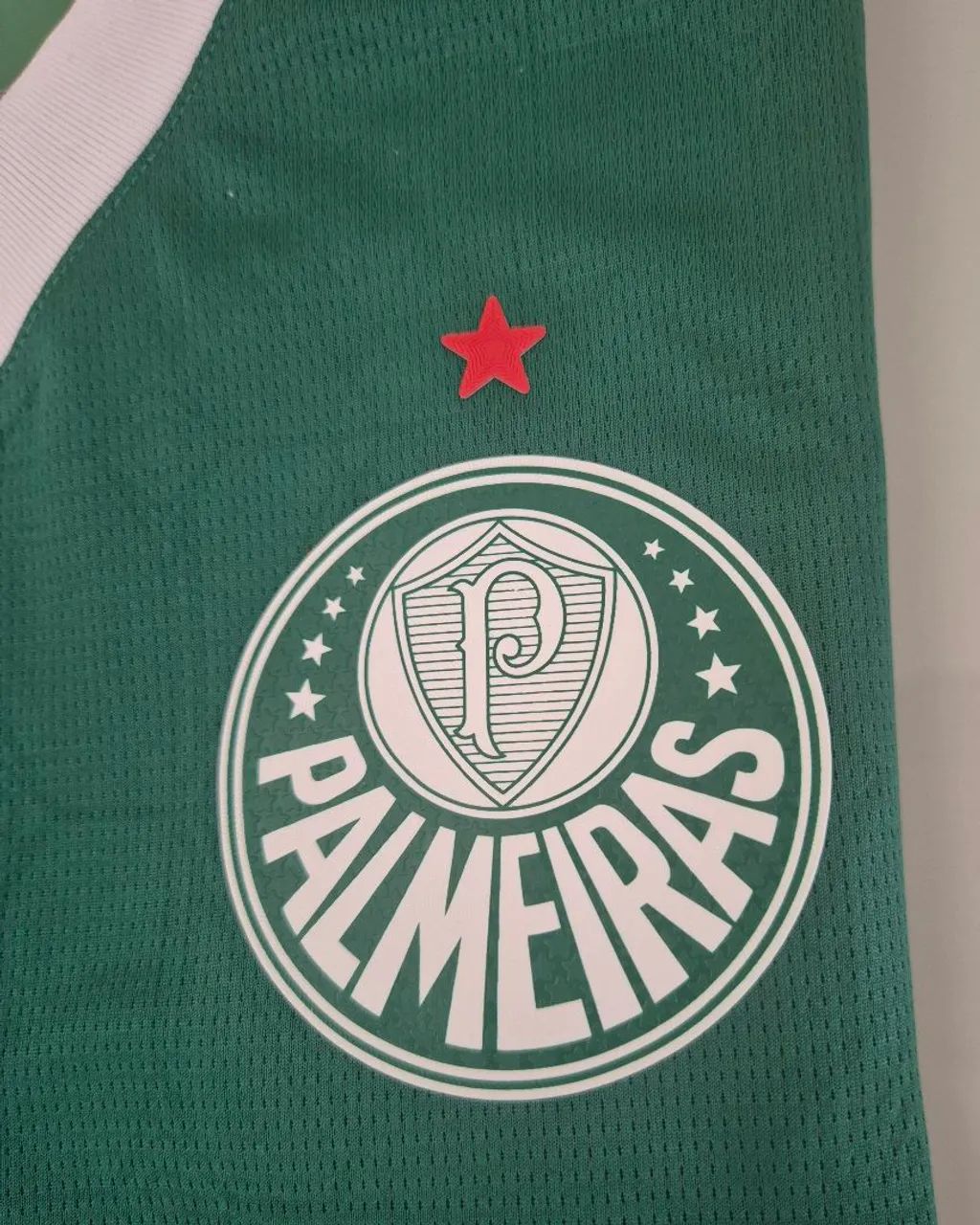Camisa do Palmeiras 2026