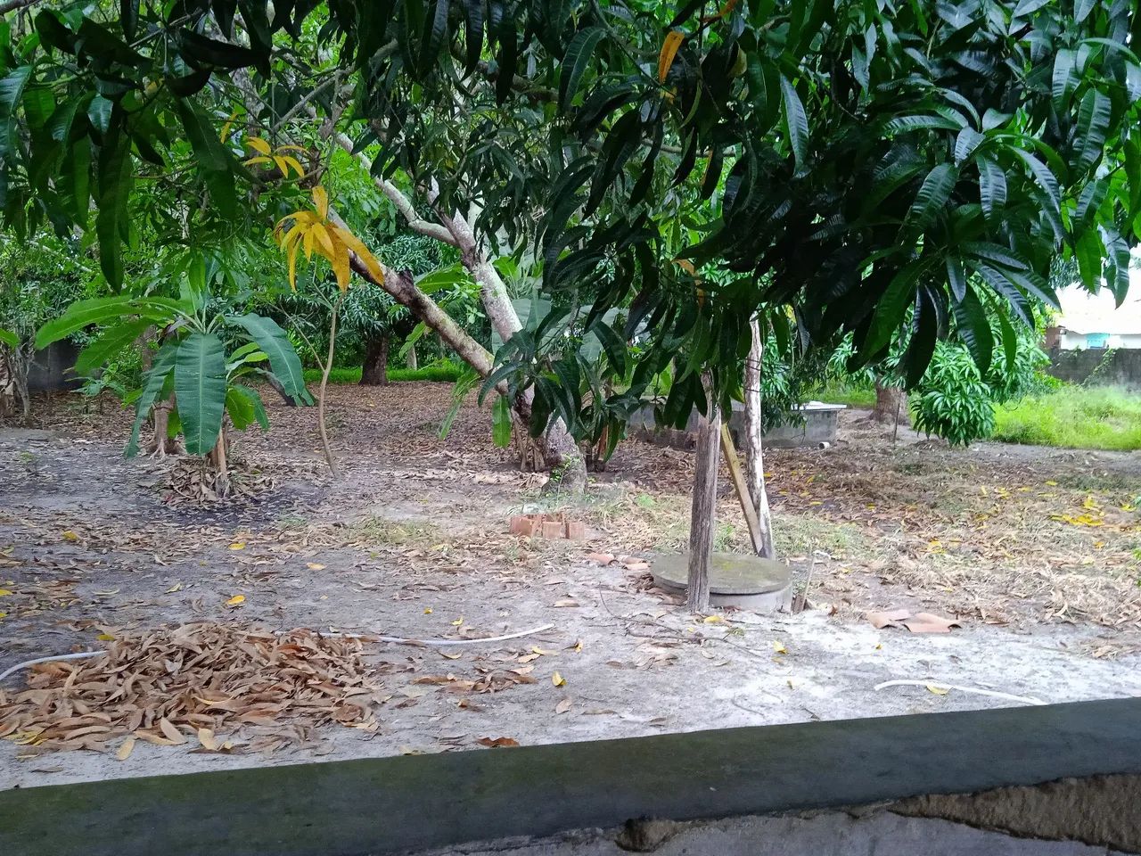 Sitio no Eusébio, fundos com Fábrica Fortaleza  - Foto 2