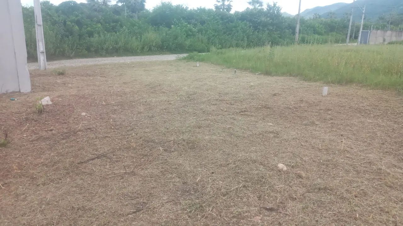 Limpeza de terreno  - Foto 2